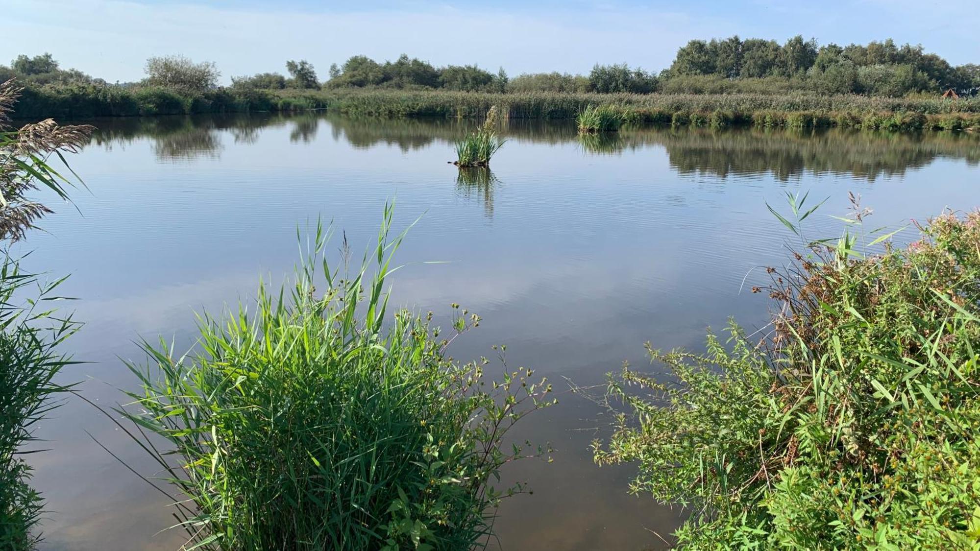 'T Paviljoenhus Bij Sneekermeer Offingawier Exterior foto